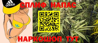 шишки Жуковский