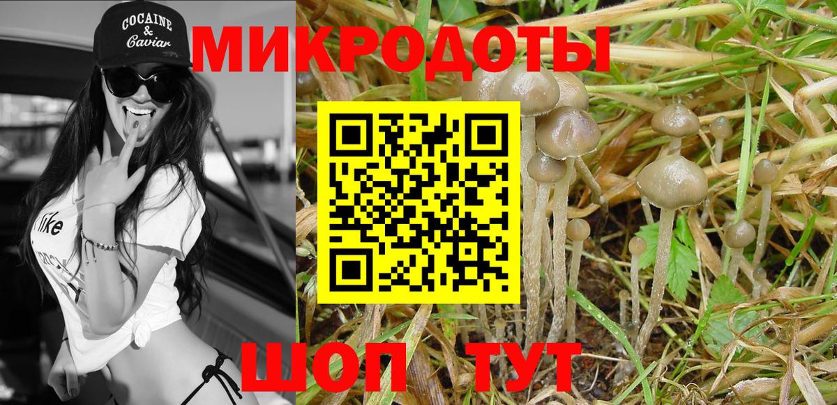 Галлюциногенные грибы мицелий  где можно купить   Вход с VPN  Фрязино  Галлюциногенные грибы Magic Shrooms 